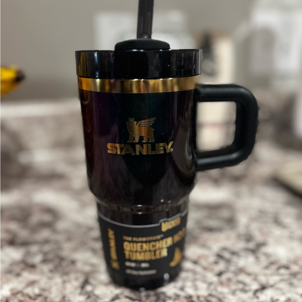 Stanley Wicked Elphaba 20 oz Tumbler